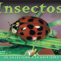 Insectos Spanish Lap Book
