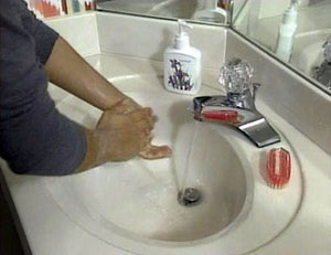 Wash Those Hands Spanish DVD