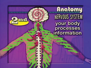 Nervous System (Module 3) DVD