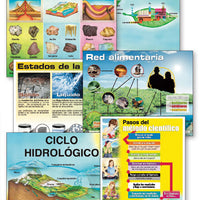 Life, Earth, & Physical Science Chart Set (Spanish)