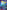 Roller Coaster Library Bound Book