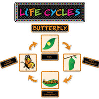 Magnetic Life Cycles Mini Bulletin Board Set