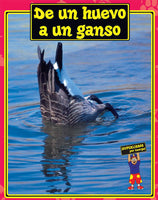 Spanish Big Book Set F Animals
