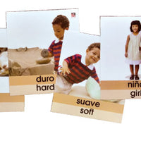 Bilingual Jumbo Flash Cards