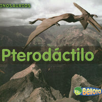 Pterodactyl Spanish Paperback Book