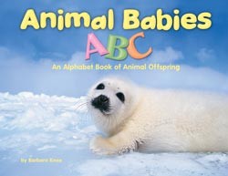Animal Babies ABC Library Bound Book