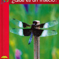 What Is an Insect? Spanish Library Bound