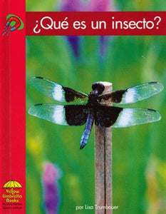 What Is an Insect? Spanish Library Bound