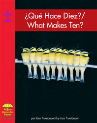 What Makes Ten? Bilingual (English/Spanish) Book