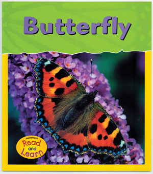 Butterfly / La mariposa