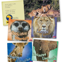 African Animals Bilingual Library Bound Book Set