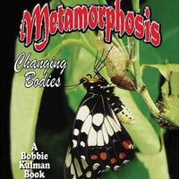 Metamorphosis Paperback Book