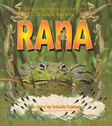 Life Cycle of a Frog Paperback Book Spanish (Rana)