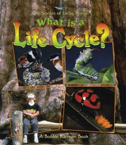 Life Processes Series: What is a Life Cycle?