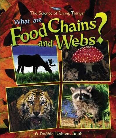 What are Food Chains and Webs? Paperback Book