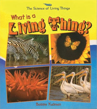 What is a Living Thing? Paperback Book