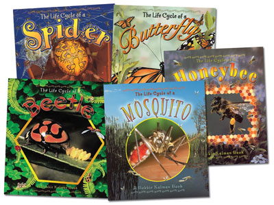 Life Cycles of Insects English Book Set