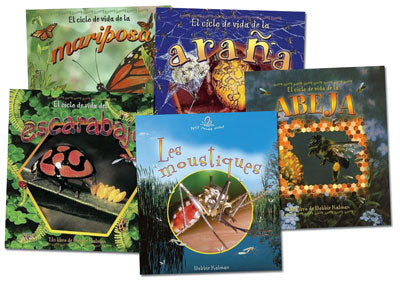 Life Cycles of Insects Spanish Book Set