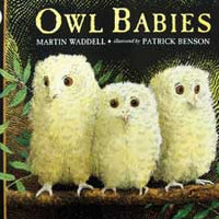 Owl Babies English Hardcover Book