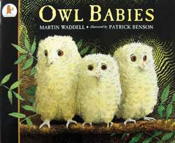 Owl Babies English Hardcover Book