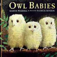 Owl Babies English Board Book