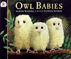Owl Babies English Board Book