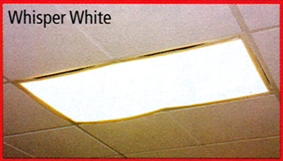 Fluorescent Light Filters in Whisper White
