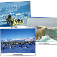 Photo Fun Activities: Polar Regions