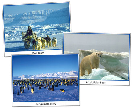 Photo Fun Activities: Polar Regions