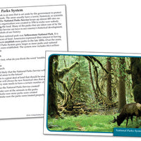 Ecology Reading Comprehension Science Cards
