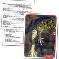Freshwater Habitats Reading Comprehension Science Cards