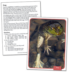 Freshwater Habitats Reading Comprehension Science Cards