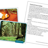 Reading Comprehension Science Cards Set 3