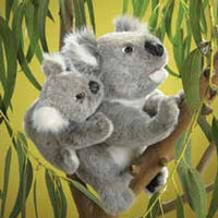 Koala & Baby Plush
