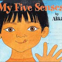 My Five Senses Hardcover Book