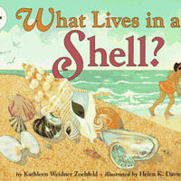 What Lives in a Shell? Stage 1 Paperback Book