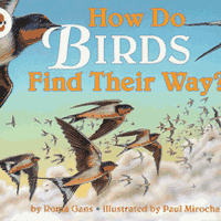 How Do Birds Find Their Way Stage 2 Paperback Book