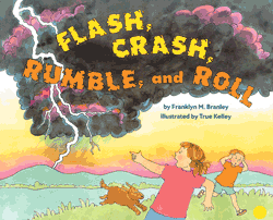 Flash, Crash, Rumble, and Roll Stage 2 Paperback Book
