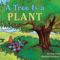 Tree Is a Plant Paperback Book