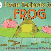 From Tadpole to Frog Stage 1 Paperback Book
