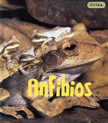 Amphibians Spanish Library Bound