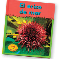 Sea Urchins Spanish Books
