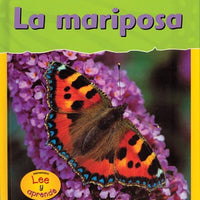 Butterfly Spanish Paperback Book