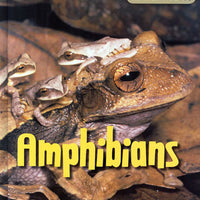 Amphibians Book