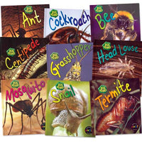 Bug Books Set A