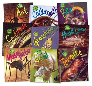 Bug Books Set A