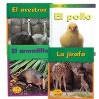 Animals Library Spanish