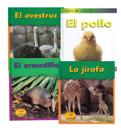 Animals Library Spanish