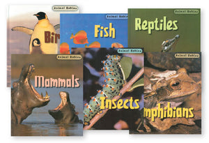 Animal Babies English Book Set