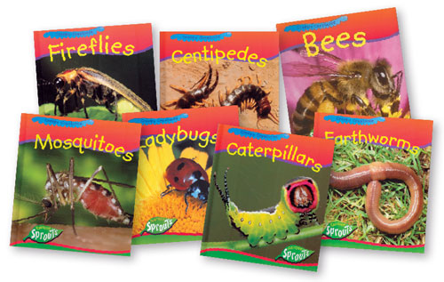 Ants  A Book of Creatures